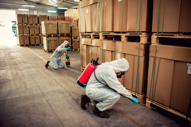 Best Best Pest Control Near Me  in Cornwall, PA