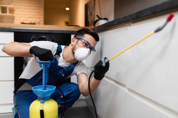 Best Pest Removal Services  in Cornwall, PA