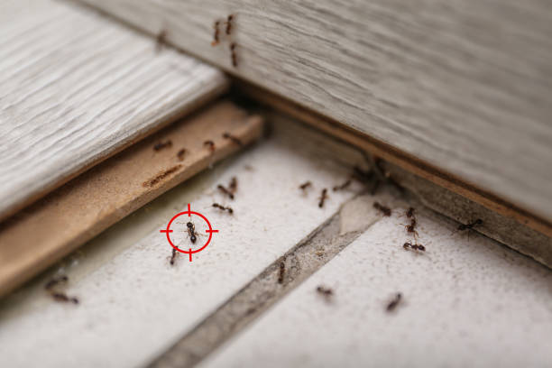 Pest Control Cost in Cornwall, PA