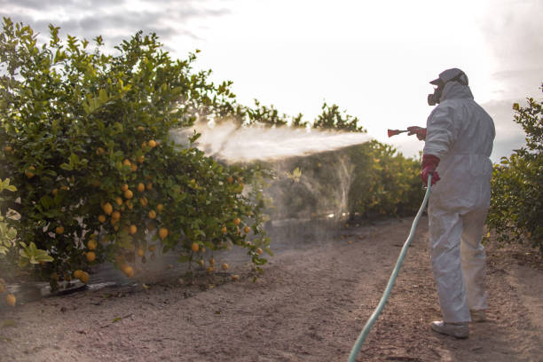 Professional Pest Control in Cornwall, PA