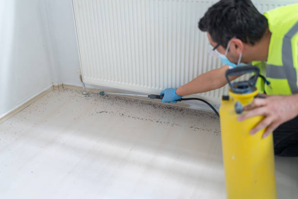 Best Commercial Pest Control Services  in Cornwall, PA